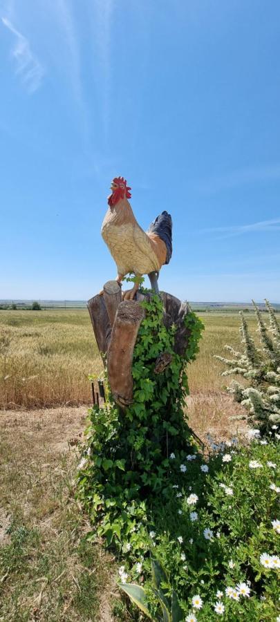 Masseria Milu' ซิปอนโต ภายนอก รูปภาพ